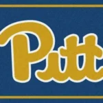 Pittsburgh Panthers Area Rug Football Team Logo Carpet Living Room Rugs Rug Regtangle Carpet Floor Decor Home Decor V11114 0