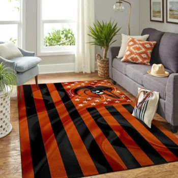 Amazon Baltimore Orioles Living Room Area No2132 Rug 1602994903311 1602994903311